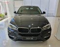 BMW X6   2019 - Cần bán BMW X6 XDrive35i đời 2019, nhập khẩu