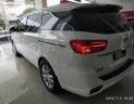 Kia Sedona 2019 - Bán xe Kia Sedona Platinum G sản xuất 2019, màu trắng