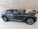 BMW X3   2019 - Bán BMW X3 năm sản xuất 2019, nhập khẩu  