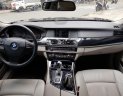 BMW 5 Series 2010 - Bán BMW 5 Series sản xuất 2010, màu đen, nhập khẩu nguyên chiếc chính chủ 