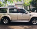 Ford Everest 2009 - Bán Ford Everest sản xuất 2009, màu vàng