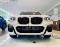 BMW X3 2019 - Cần bán BMW X3 xDrive20i đời 2019, màu trắng, xe nhập