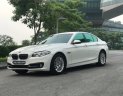 BMW 5 Series 2014 - Bán xe BMW 520i 2.0AT 2014 - 1 tỷ 79 triệu bao test hãng toàn quốc