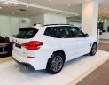 BMW X3 2019 - Cần bán BMW X3 xDrive20i đời 2019, màu trắng, xe nhập