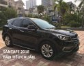Hyundai Santa Fe 2018 - Bán Santafe máy dầu 2018, giá cực hấp dẫn