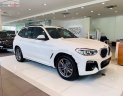 BMW X3 2019 - Cần bán BMW X3 xDrive20i đời 2019, màu trắng, xe nhập