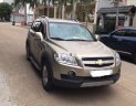 Chevrolet Captiva   2008 - Cần bán Chevrolet Captiva năm sản xuất 2008, màu vàng, xe gia đình 