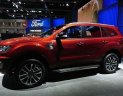 Ford Everest   2019 - Cần bán Ford Everest sản xuất năm 2019, màu đỏ, xe nhập