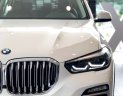 BMW X5 2019 - Bán xe BMW X5 đời 2019, trắng, nhập khẩu 100% từ Đức