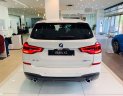 BMW X3 2019 - Bán ô tô BMW X3 2019, màu trắng, nhập khẩu nguyên chiếc