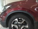 Honda CR V L 2019 - Bán Honda CRV cao cấp 2019 phiên bản tự động