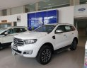 Ford Everest   2019 - Bán Ford Everest đời 2019, màu trắng, xe nhập, 300 triệu