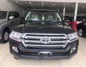 Toyota Land Cruiser 4.6 2016 - Bán Toyota Land Cruise 4.6,sản xuất và đăng ký 2016, hóa đơn VAT cao, xe đẹp, giá tốt