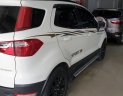 Ford EcoSport Titanium 2017 - Cần bán xe Ford EcoSport Titanium sản xuất 2017, màu trắng