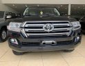 Toyota Land Cruiser VX 2016 - Bán xe Toyota Land Cruiser VX năm sản xuất 2016, xe nhập