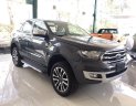 Ford Everest 2019 - Bán Ford Everest 4x2MT sản xuất 2019, màu đen, xe nhập 