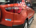 Ford EcoSport 2017 - Cần bán Ford EcoSport 2017