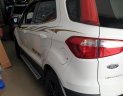 Ford EcoSport Titanium 2017 - Cần bán xe Ford EcoSport Titanium sản xuất 2017, màu trắng