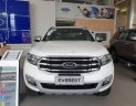 Ford Everest   2019 - Bán Ford Everest đời 2019, màu trắng, xe nhập, 300 triệu