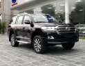 Toyota Land Cruiser 2018 - Cần bán Toyota Land Cruiser VXR 4.6L sản xuất 2018, màu đen mới 100%, nhập khẩu Trung Đông 