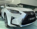 Lexus RX 350 2019 - Bán xe Lexus RX 350 đời 2019, nhập khẩu, sẵn xe đủ màu