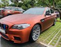 BMW 5 Series 2010 - Bán BMW 5 Series năm sản xuất 2010, nhập khẩu nguyên chiếc, giá cạnh tranh