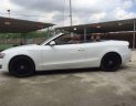 Audi A5   2010 - Bán Audi A5 Convertible 2010, màu trắng, nhập khẩu