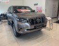 Toyota Land Cruiser Prado VX 2.7L 2019 - Bán Toyota Land Cruiser Prado VX 2.7L năm sản xuất 2019, màu ghi vàng, xe nhập