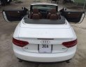 Audi A5   2010 - Bán Audi A5 Convertible 2010, màu trắng, nhập khẩu