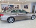 BMW 5 Series 520i 2019 - Bán BMW 5 Series 520i sản xuất năm 2019, màu xám, nhập khẩu nguyên chiếc