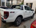 Ford Ranger 2019 - Bán Ford Ranger Wildtrak Bi-turbo 4x4 2020, đủ màu, KM 63 triệu Ford Quảng Ninh