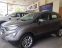 Ford EcoSport Titanium 1.5L AT 2019 - Cần bán Ford EcoSport Titanium 1.5L AT năm sản xuất 2019, màu nâu