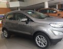 Ford EcoSport Titanium 1.5L AT 2019 - Cần bán Ford EcoSport Titanium 1.5L AT năm sản xuất 2019, màu nâu