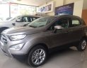 Ford EcoSport Titanium 1.5L AT 2019 - Cần bán Ford EcoSport Titanium 1.5L AT năm sản xuất 2019, màu nâu