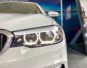 BMW 5 Series  520i  2018 - Bán BMW 5 Series 520i đời 2018, đẳng cấp, sang trong, mạnh mẽ