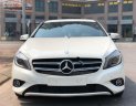 Mercedes-Benz A class A200 2013 - Bán xe Mercedes A200 2013, màu trắng, xe nhập