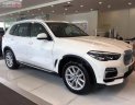 BMW X5 xDrive40i 2019 - Bán BMW X5 xDrive40i 2019, màu trắng, nhập khẩu  