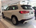 BMW X5 xDrive40i 2019 - Bán BMW X5 xDrive40i 2019, màu trắng, nhập khẩu  