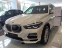 BMW X5 xDrive40i 2019 - Bán BMW X5 xDrive40i 2019, màu trắng, nhập khẩu  