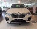 BMW X5 xDrive40i 2019 - Bán BMW X5 xDrive40i 2019, màu trắng, nhập khẩu  