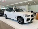 BMW X3 2019 - Bán xe BMW X3 xDrive20i đời 2019, màu trắng, xe nhập