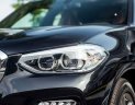 BMW X3 2019 - Cần bán gấp BMW X3 năm 2019, màu đen, nhập khẩu