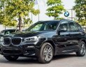 BMW X3 2019 - Cần bán gấp BMW X3 năm 2019, màu đen, nhập khẩu