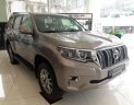 Toyota Land Cruiser 2019 - Cần bán xe Toyota Land Cruiser năm sản xuất 2019, nhập khẩu