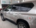 Toyota Land Cruiser 2019 - Cần bán xe Toyota Land Cruiser năm sản xuất 2019, nhập khẩu