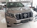 Toyota Land Cruiser 2019 - Cần bán xe Toyota Land Cruiser năm sản xuất 2019, nhập khẩu