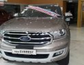 Ford Everest 2019 - Bán Ford Everest đời 2019, màu vàng, xe nhập