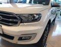 Ford Everest Titanium 2.0L 4x4 AT 2019 - Bán xe Ford Everest Titanium 2.0L 4x4 AT sản xuất năm 2019, màu trắng, nhập khẩu