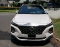 Hyundai Santa Fe 2019 - Bán xe Hyundai Santa Fe đời 2019, giá tốt