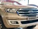 Ford Everest 2019 - Cần bán Ford Everest sản xuất năm 2019, nhập khẩu nguyên chiếc